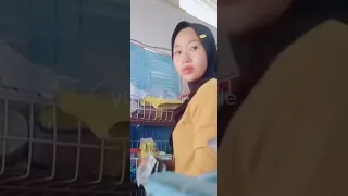 cewek jaga warung pemersatu bangsa