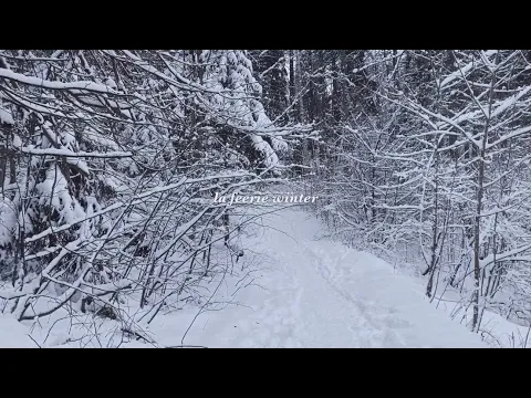 La Féerie Winter — A Short Film