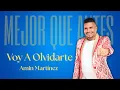 Download Lagu Amin Martinez \u0026 Los Chiches Vallenato - Voy a Olvidarte (Video Audio Oficial)