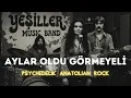 Aylar Oldu Görmeyeli | Psychedelic Anatolian Rock - Yeşiller Music Band (Official Video)