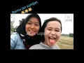 Download Lagu Jancok asu