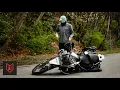 How Pigeons Explain a Common Motorcycle Crash