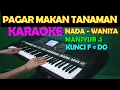 Download Lagu PAGAR MAKAN TANAMAN - KARAOKE NADA WANITA