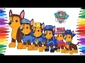PAW PATROL Switch Clothes Magic Coloring Book How to Draw Paw Patrol Pups Animation s for Kids