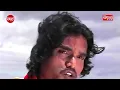 chi chi chi nuni viral trending