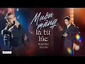 Lagu Muộn Màng Là Từ Lúc - Phương Thanh live at #inthemoonlight