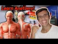 6 EASY WAYS TO LEARN MUSCLE ANATOMY