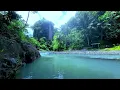 Download Lagu Aliran Air yang Menenangkan \u0026 Kicauan Burung ASMR | White Noise Alami untuk Tidur, Belajar, dan Meditasi