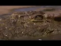 Lagu Crocodile Waits for Wildebeest in Rapids | BBC Earth