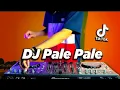 Download Lagu DJ PALE PALE VIRAL TIK TOK ! Magic In The Air ( DJ Nansuya \u0026 DJ DESA Remix )
