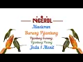 Download Lagu Masteran Burung Pijantung JEDA 1 MENIT Pijantung Gunung Dan Pijantung Pisang