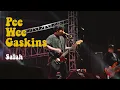 Download Lagu Pee Wee Gaskins - Salah Live at Fisiphoria