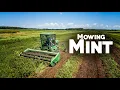 How Mint Oil is Made Cutting Mint John Deere 3430 Swather Part 1