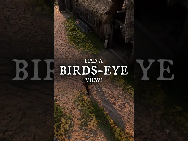 Birds-eye POV? | Kingdom Come: Deliverance 2 #kcd2