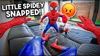 Team SPIDER-MAN Bros And LITTLE-SPIDEY Went CRAZY... SPIDER-MOM ISN’T HOME! (Funny POV)
