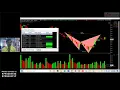 HARMONIC PATTERNS EVERY TRADER MUST KNOW THIS SPIDER SOFTWARE IRIS PLUS