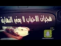 قلبك من صخر بطيء