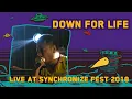 Download Lagu Down For Life LIVE @ Synchronize Fest 2018