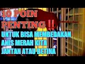 Download Lagu 10 POIN PENTING UNTUK BISA MEMBEDAKAN ANIS MERAH KITA JANTAN ATAU BETINA KETIKA SUDAH DEWASA