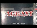 Lagu Vagrant - Percikan Cinta di Dataran Merdeka (1990)