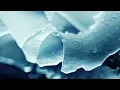 SHADOWLANDS feat. S. Carey & John Raymond - Chrysalis (Official Video)