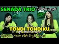 Download Lagu SENADA TRIO // Cover : TONDI TONDIKU // Cipt : Herbet H Aruan @hangganeriksonchannel8093