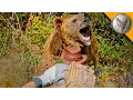GRIZZLY BEAR ATTACK