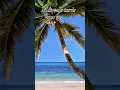 Download Lagu #refrán Más vale tarde que 🤔 #shorts #feed #frase #refranes