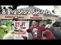 8 Bird Store Secrets Bird Stores Won t Tell You