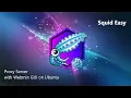 Squid Easy Proxy Server with Webmin GUI on Azure Ubuntu