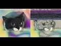 Pixel Selection Sorting visualization on a colorful cat img 320x303