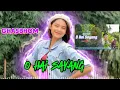 Download Lagu LAGU ACEH O HAI SAYANG 🌴Viral tiktok 2025💃REMIX TERBARU