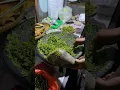 Download Lagu Ayam penyet cabe ijo terbaik!!! Kalian suka juga ga?