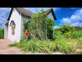 Download Lagu The Shocking Moment His Abandoned Mansion Emerged From the Jungle