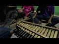 Download Lagu Musik Patrol Banyuwangi