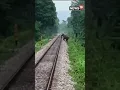 Download Lagu Elephant Saved After A Train Driver Noticed It Crossing Track | Latest | #Shorts | CNN News18