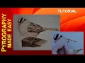 Wood Burning - White Crowned Sparrow Bird