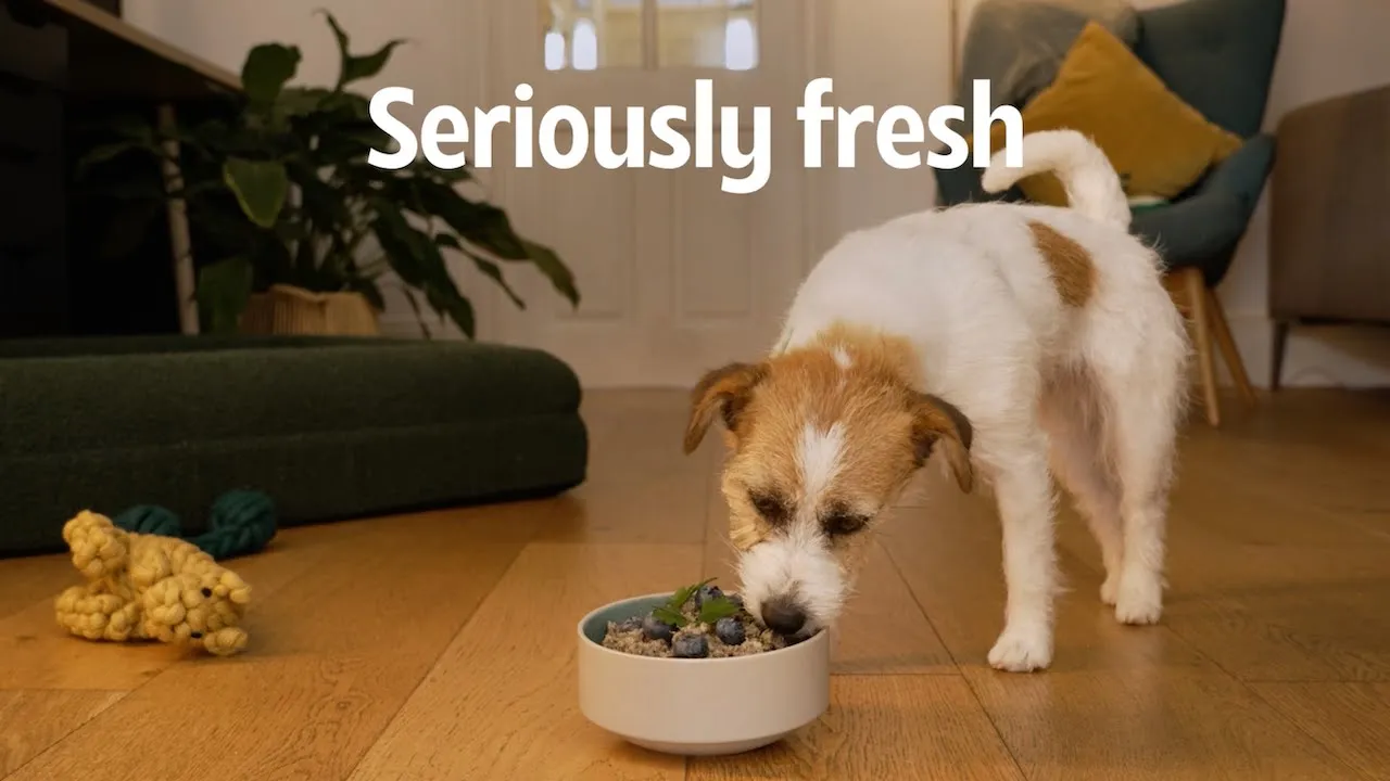Lyka Pet Food — Lyka - Real Food for Dogs, Gently Cooked & Delivered (YouTube video ad)