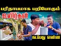 Download Lagu பறிபோகும் உயிர்கள் | நடப்பது என்ன ? | Akkuddiyum pichumaniyum | Tamil comedy #comedy