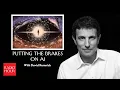 Should We and Can We Put the Brakes on Artificial Intelligence