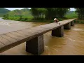 Lagu 100 Days Building a Sturdy Bamboo Bridge After the Great Flood – Completing the Bridge Floor