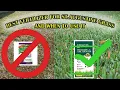 The Best Fertilizer For St Augustine Grass When To Fertilize Your Lawn