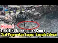 Download Lagu Heboh‼️Muncul Ular Sanca Saat Pengerukan Lumpur Sampah Sudah Selesai