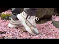 Dior B22 Beige White On Foot Review and Sizing Guide