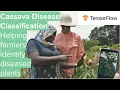 Cassava Disease Classification Helping farmers identify diseased plants