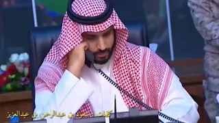 سيد السادة في صاحب السمو الملكي الامير محمد بن سلمان بن عبدالعزيز آل سعود ولي العهد دندنها