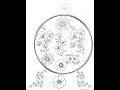 FREE FLOWER COLORING PAGE CHECK DESCRIPTION BOX
