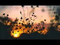 Download Lagu Way Home - Tokyo Music Walker | Chill Hip Hop Beat to Study / Relax