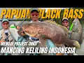 Download Lagu GIL4 SIH INI TARIKANNYA😱‼️SAMBARANNYA BIKIN PEMANCING SENAM JANTUNG‼️PAPUAN BLACKBASS FISHING
