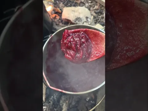 Making wild plum jam